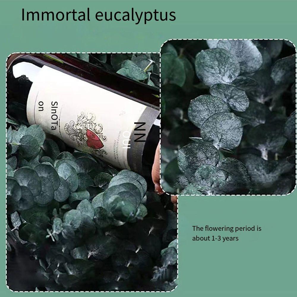 10 Pcs 22 inch Artificial Plants Flowers Real Leaves Preserved Eucalyptus Stems  Bathroom