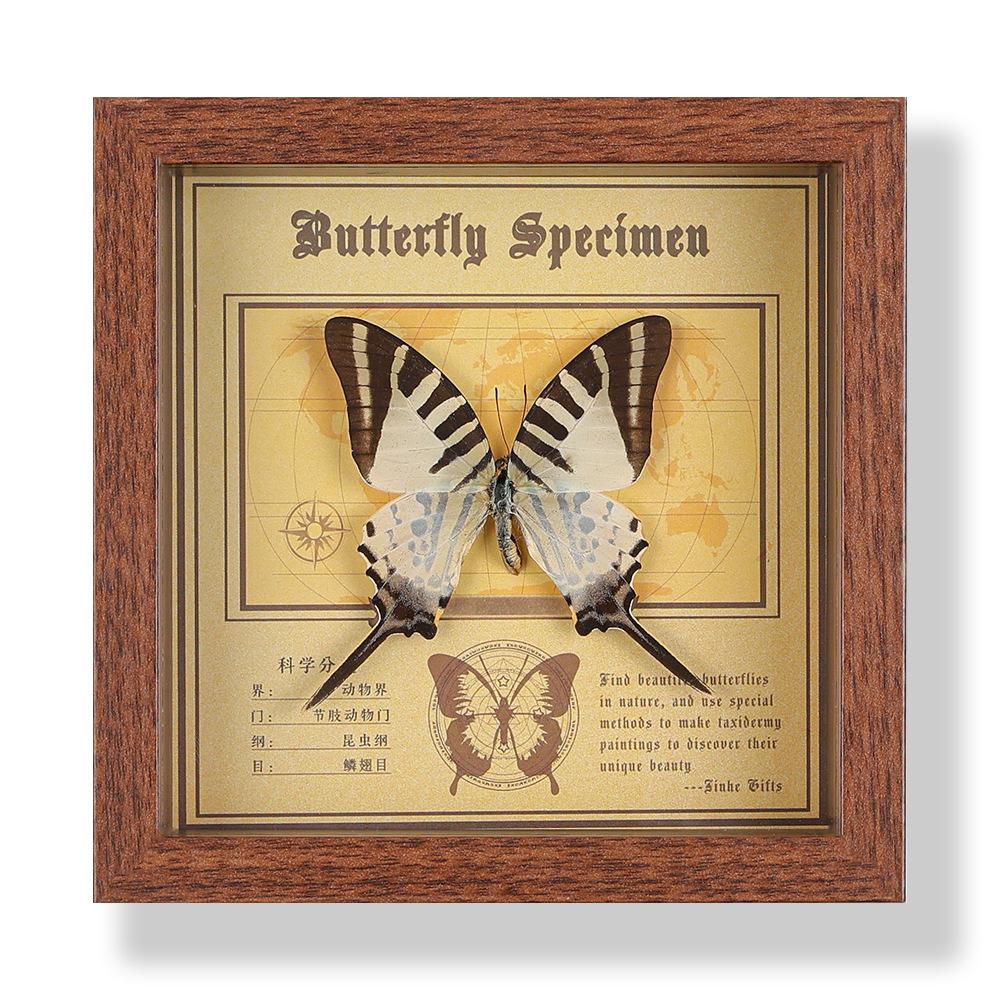 Real butterfly specimen photo frame, decorative painting, 3D ornament, handmade DIY, birthday gift, insect specimen