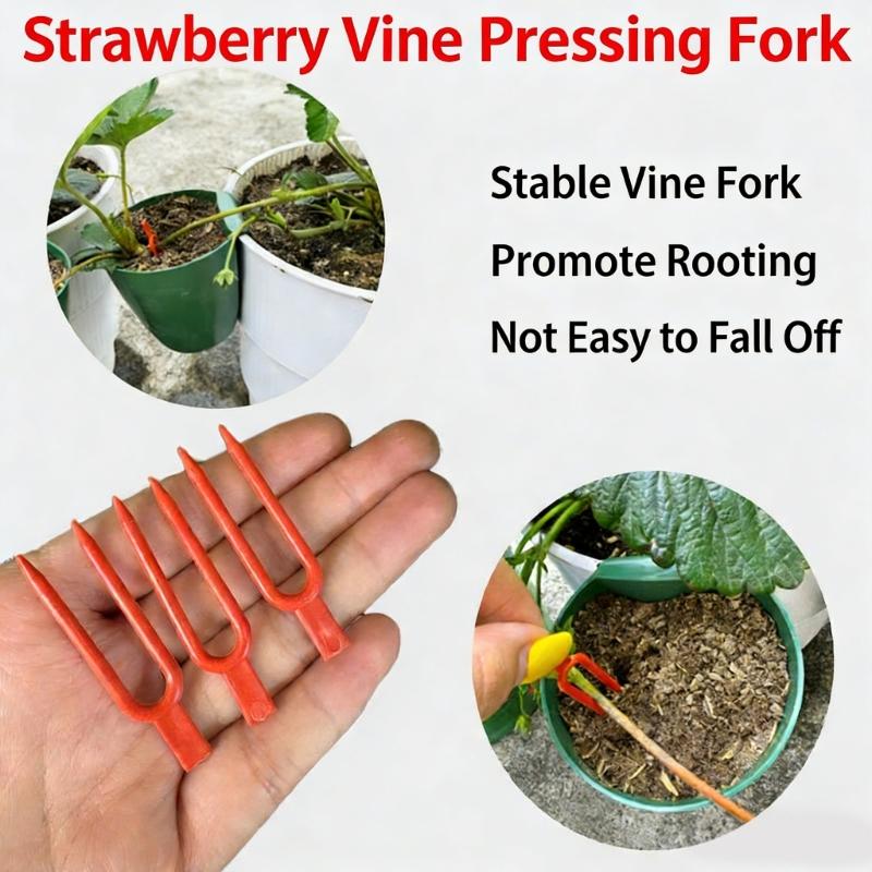 Propagation Cup Kit Featuring Food Grade Plastic and Runner Forks Ideal for Strawberry Runners and Seedling Cultivation
