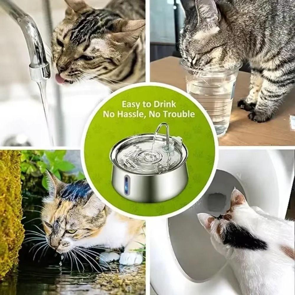 USB Pet Water Feeder Automatic Automatic Cat Water Fountain  Cat Products