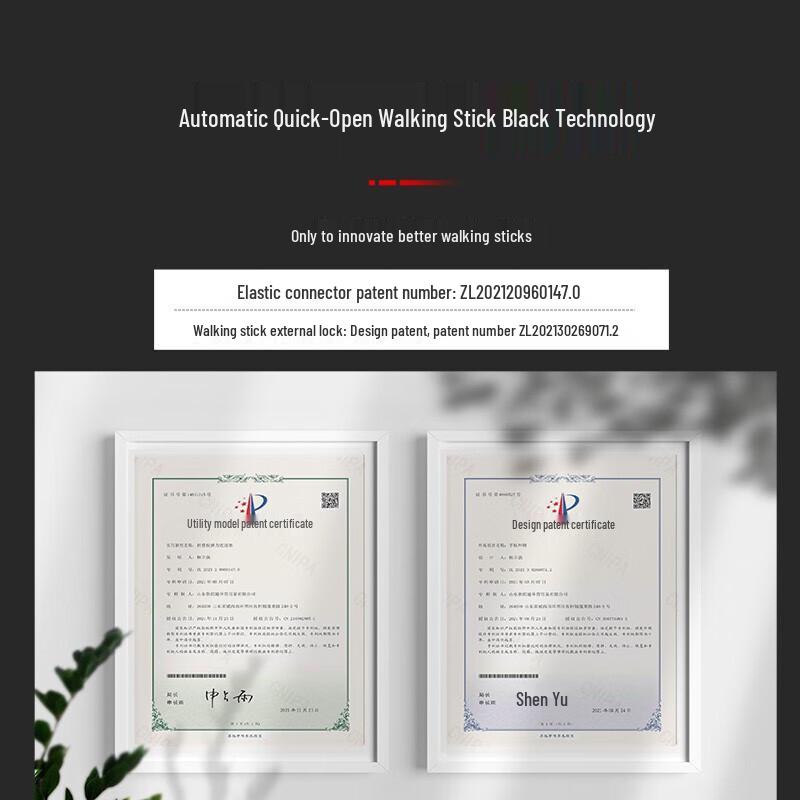 Robinson Folding Carbon Fiber Trekking Pole