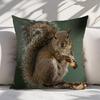 Short Plush “Favorite Peanut Squirrel” Pillowcase 18×18 Inch Double Sided Printed Zipper Cushion Cover Realistic Wildlife Decor