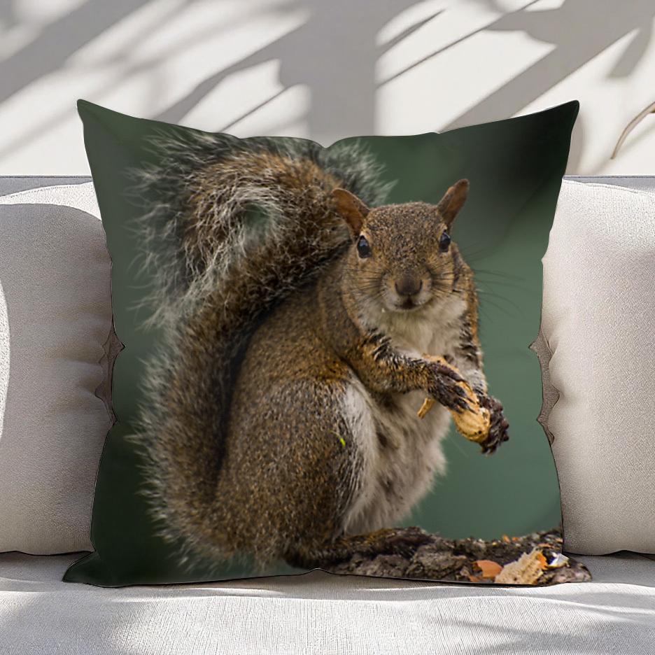 Short Plush “Favorite Peanut Squirrel” Pillowcase 18×18 Inch Double Sided Printed Zipper Cushion Cover Realistic Wildlife Decor