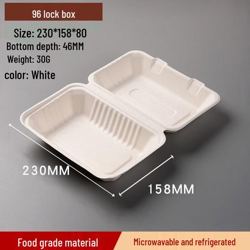 Sugarcane Pulp Disposable Takeout Container Pack of 50