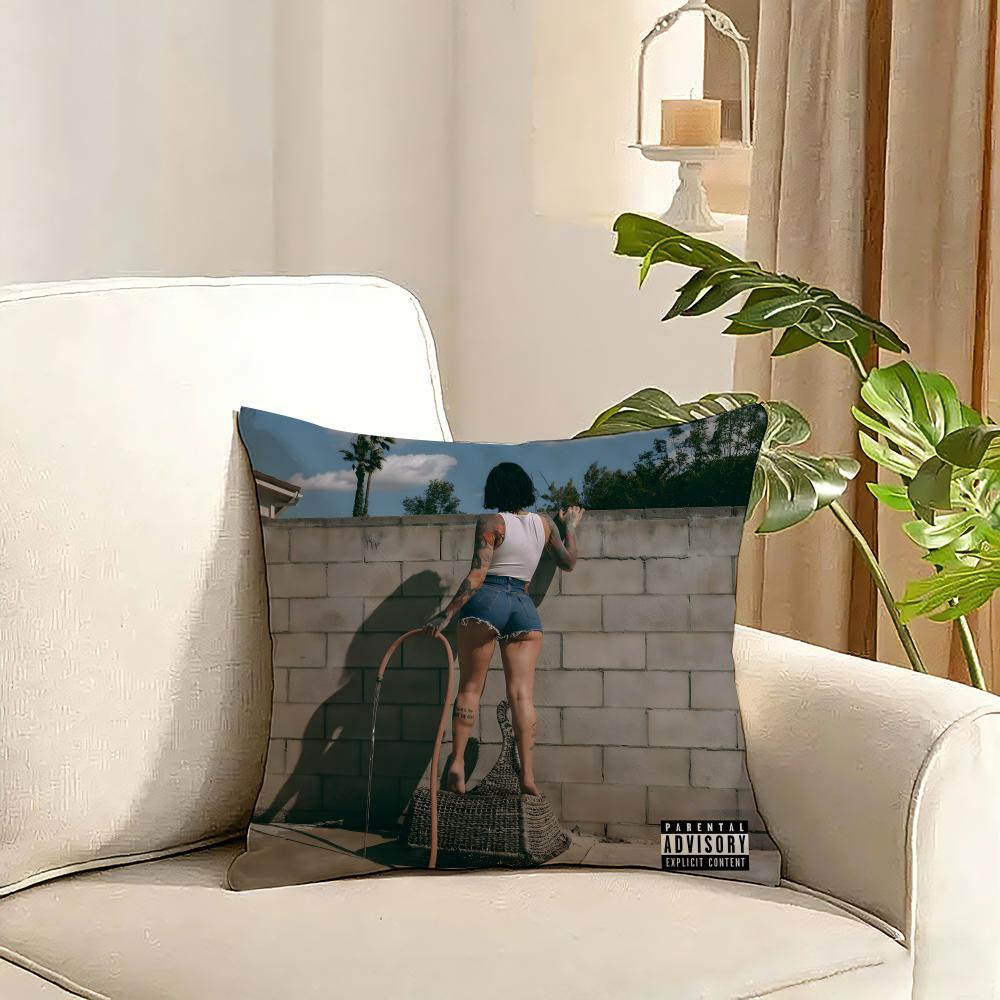 Singer KKehlani Cushion Cover Reversible Plush Pillow Cover Soft Fluffy Home Decor for Sofa Bedroom