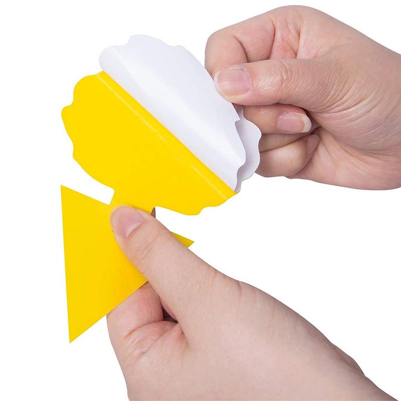 20Pcs Insect Traps Protect The Plant Double Sided Gnat Traps Non-Toxic And Odorless Sticky Board Traps For Garden Plants Kitchen