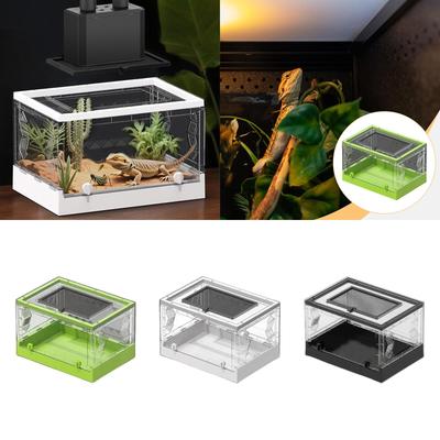 Reptiles – Terrarios de reptiles