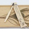 Bamboo Toothbrush Natual Color Individual Package Multiple Color Bristles High Quality Dental Clinic Eco Friendly Material