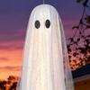 3Pcs/Set Halloween Decorations Hanging Ghost Decor with Light Remote Control Indoor/Outdoor