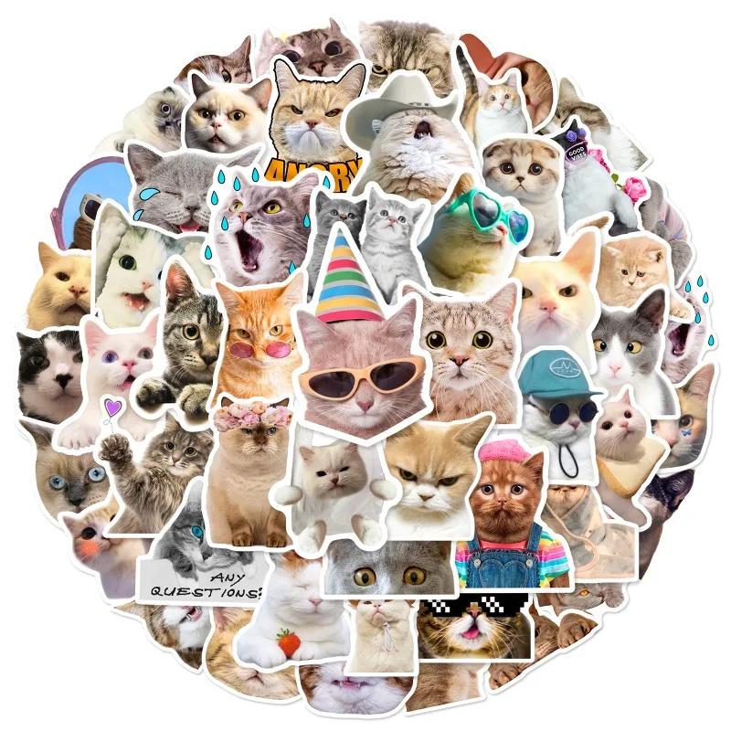 50PCS New Cute Cat Memes Motorbike Helmet Stickers Lovely Cats Waterproof Rear Trunk Sticker Motorcycle Body Scratch Cover Decal