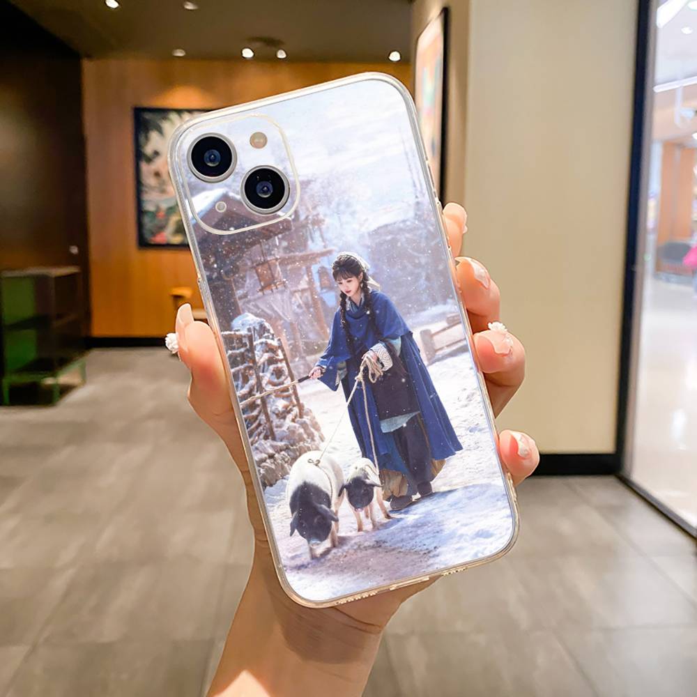 Pursuit of Jade (Zhang Linghe As Xie Zheng) Phone Case For iPhone17,16,15,14,13,12,11 ,Pro Max, Soft Silicone Transparent Cover