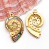 Colorful Shell & Stainless Steel Ocean Beach Pendant for DIY Jewelry