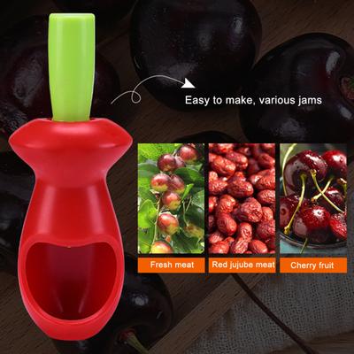 Estrattore di noccioli di ciliegia Snocciolatore di ciliegie durevole Estrattore di noccioli di frutta multifunzione facile da usare per la cucina domestica