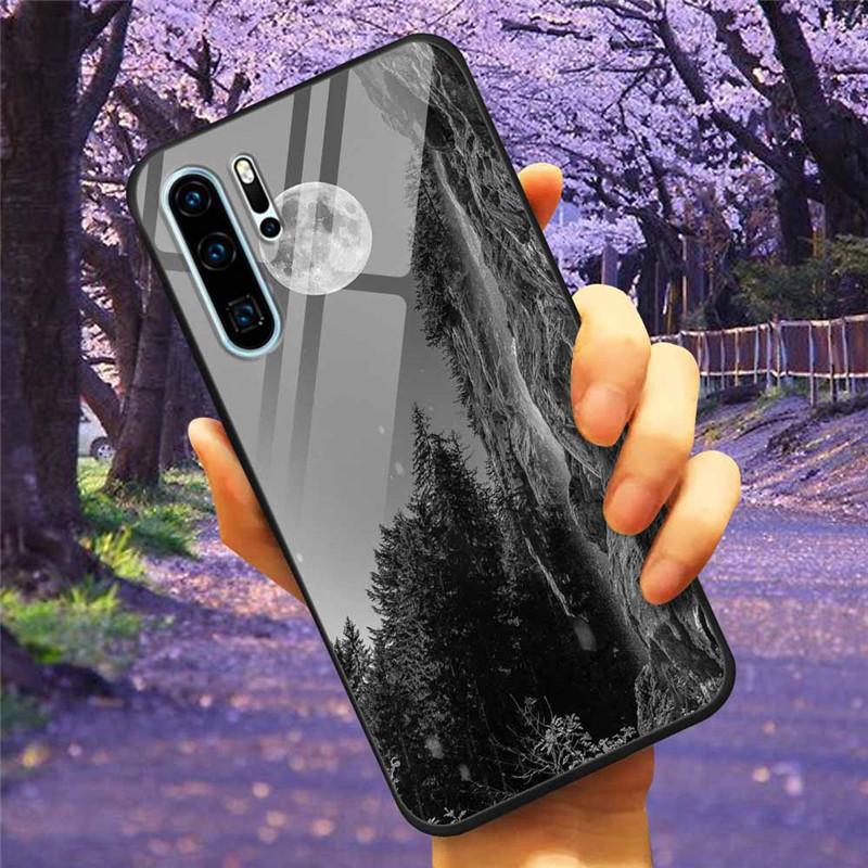 Phone Cover For Huawei P30 Pro Lite Case Tempered Glass Space Wolf Lion Funda for HUAWEI P30 Lite Luxury Cases P30Pro P 30 Cat
