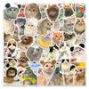 10/30/50/100pcs Cute INS Style Cat Graffiti Stickers Cartoon Aesthetic Decals DIY Guitar Laptop Notebook Kawaii Sticker Pack
