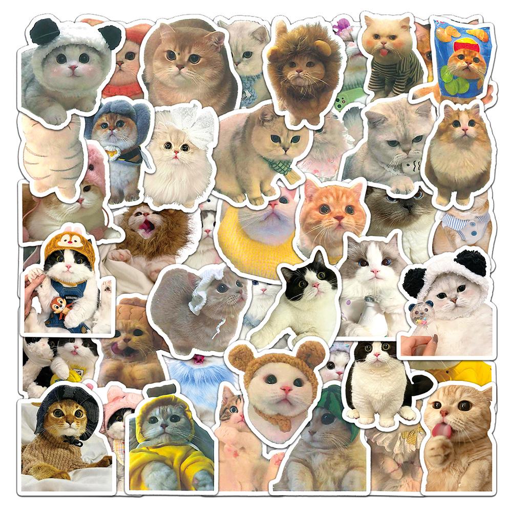 10/30/50/100pcs Cute INS Style Cat Graffiti Stickers Cartoon Aesthetic Decals DIY Guitar Laptop Notebook Kawaii Sticker Pack