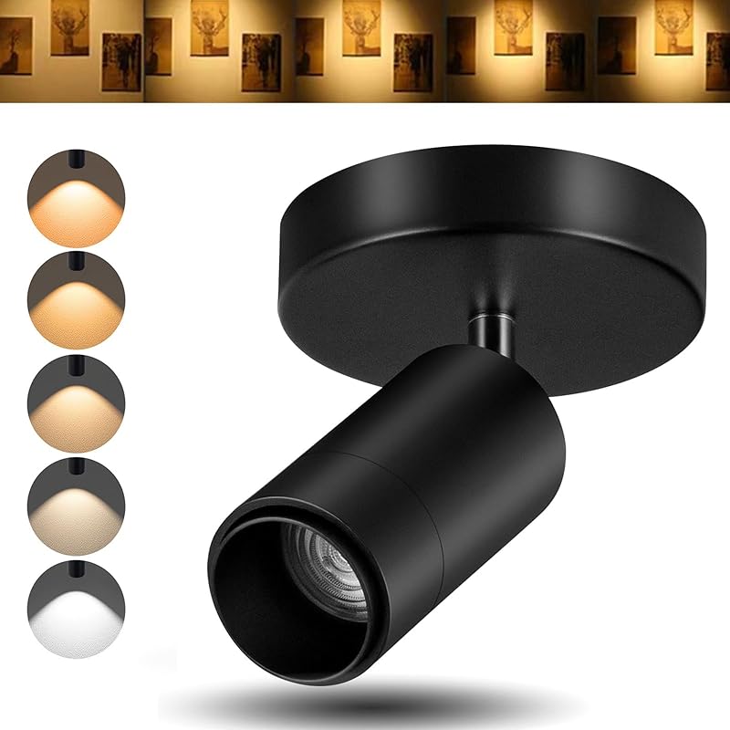 5CCT LED Ceiling Spotlight 12W Dimmable Spotlight Ceiling Light Directional