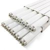 Becuri electrice – Becuri economice și fluoriscente
