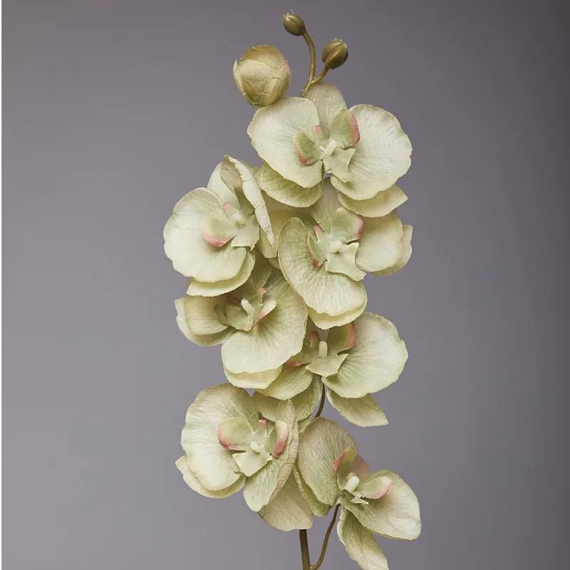 5pcs 9-Heads Artificial Butterfly Orchid Silk Flower 68CM Fake Phalaenopsis Wedding Home Decoration Artificial Flowers