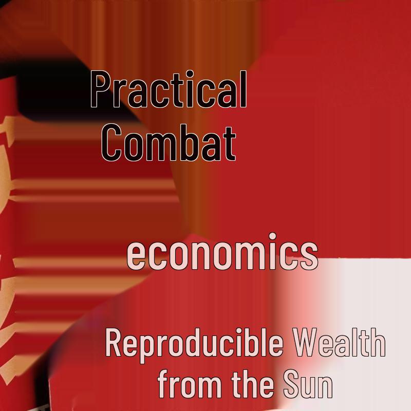 Practical Economics: Replicable Financial Freedom by Ren Zeping