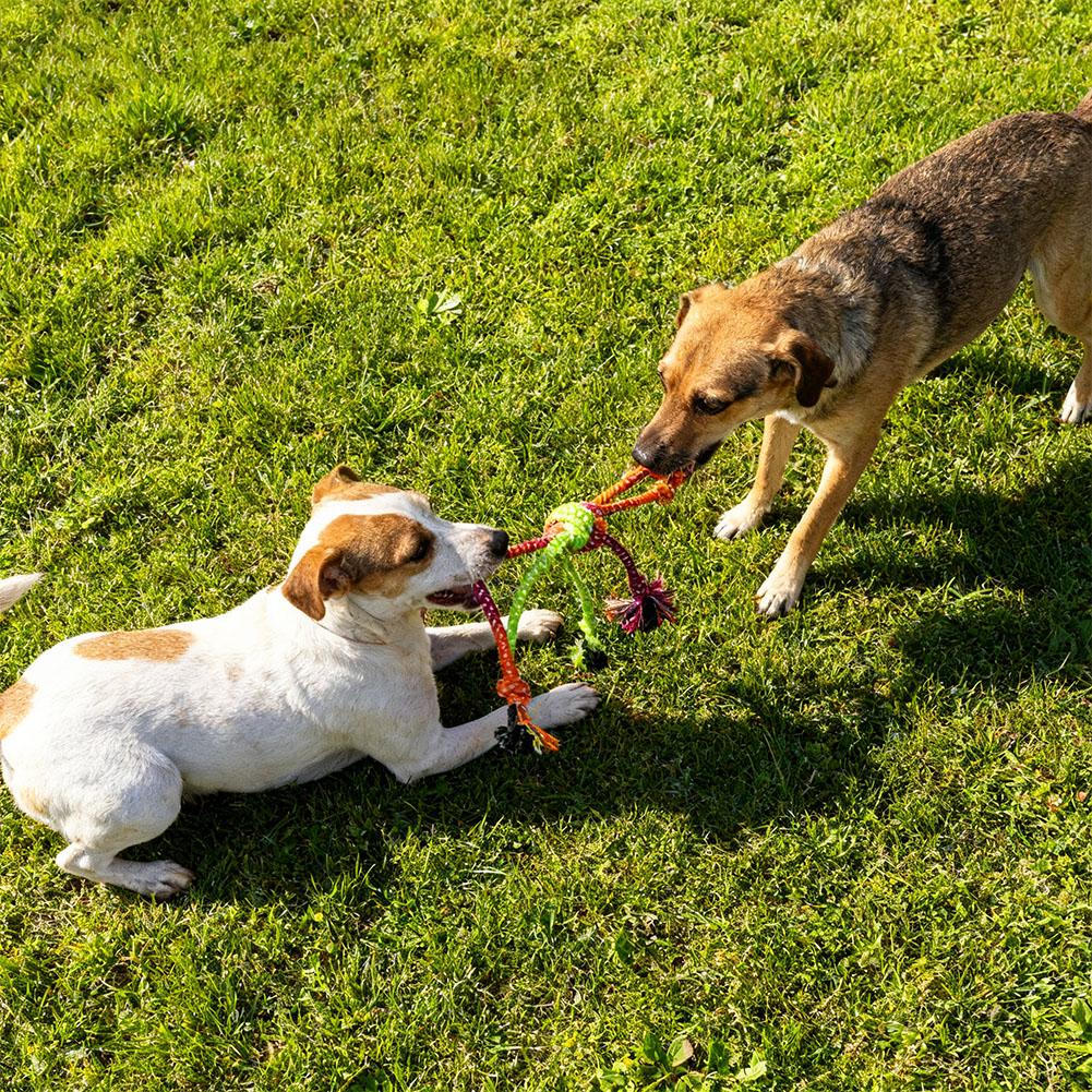  Interactive Pet Knot Toy Bite-Resistant Dogs- Chewable Rope With Green&Orange Fringes Playful Design Dog Toys Supplies