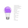 Led Işıklar – LED Ampuller ve Çubuklar
