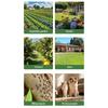 Large Capacity Cordless Pollinator Sprayer Detachable Extension Rod Stainless Steel Nozzle For Greenhouses Use