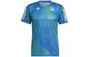 T Shirts Men's Blue Crew Neck Moderate Straight Fit IM3387