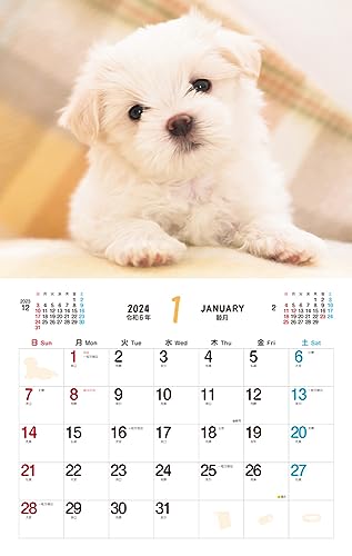 Cățeluș pufos (Calendar Impress 2024)