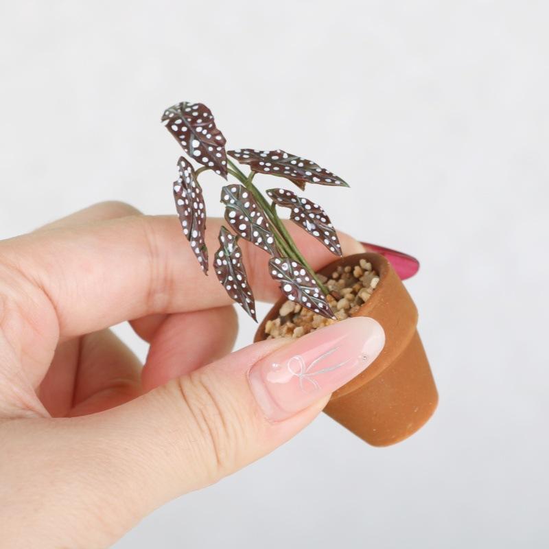 1:12 Miniature Simulation Flower Pot Green Plant Potted Model Dollhouse Home Decoration Micro Landscape Scene Ornament