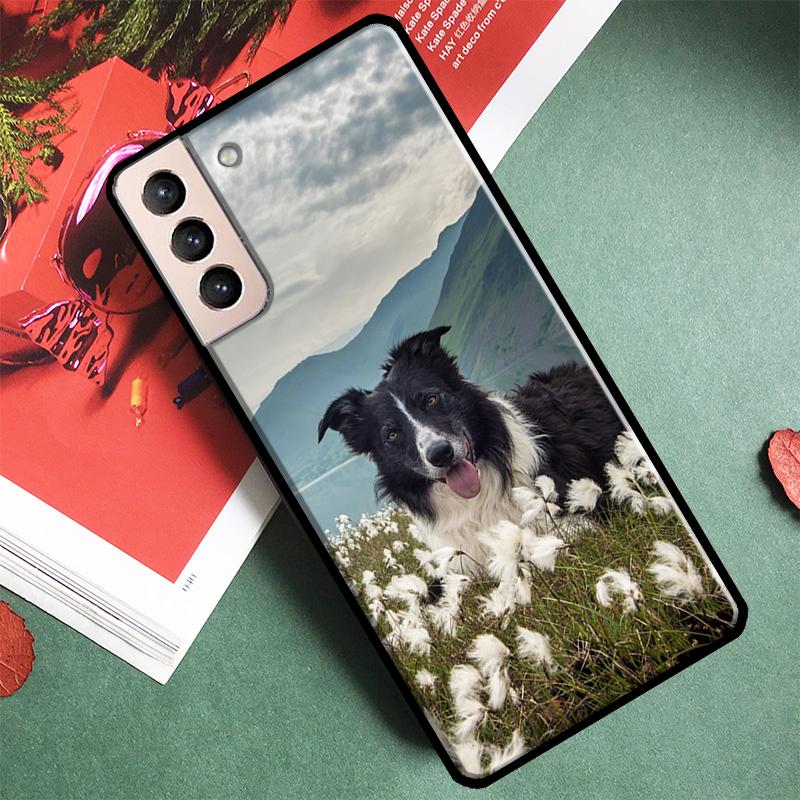 Border Collie Dog Phone Case For Samsung Galaxy S25 Ultra S9 S10 S20 S21 S22 S23 Ultra Plus S24 FE Back Cover