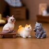 12Pcs Miniature Cat Figurine Mini Simulation Kitten Statue Resin Animal Ornament Microlandscape Dollhouse Car Dashboard Decoration