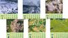 2026 Calendar of Spectacular Views from the Sky Japan's