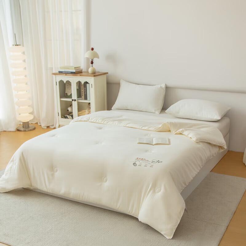 

Muji Skin-Friendly Silk Blend Quilt