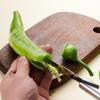 Stainless Steel Jalapeno Corer Remover Effortless Deseeding Vegetable Processing Pepper Seed Corer Remover Multifunctional