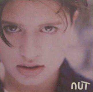 

CD NUT - Fantanicity NUTCD3P Epic 1996 Europe Rock Used