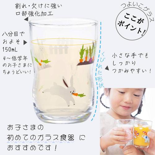 Tsuyoiko Glasses, Medium, Hide and Seek, Set of 2 Elephants and 2 Rabbits, Craft Box, Made in Japan, Durable, Shatter-Resistant, Tempered Glass, Easy