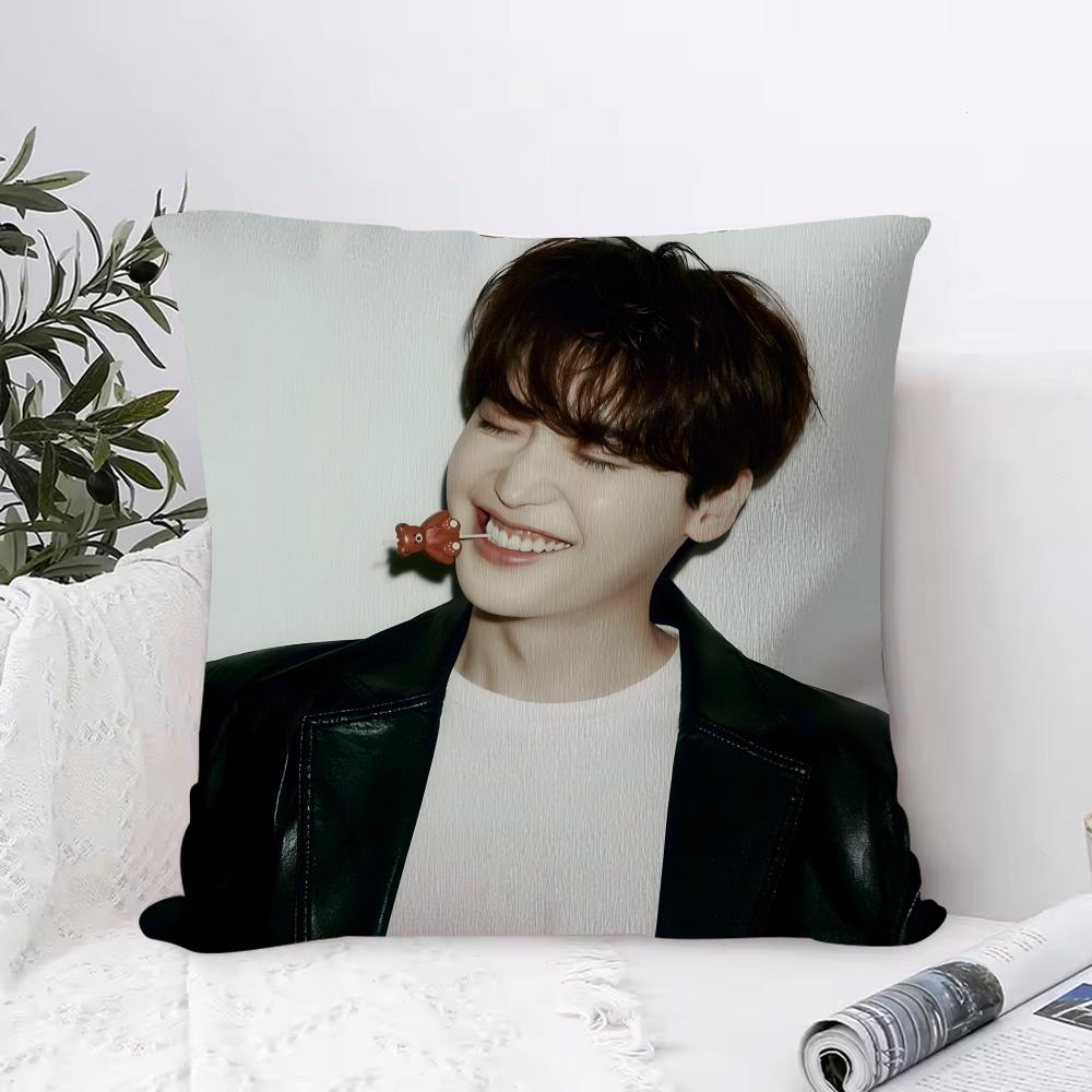 

Lee Jong-suk Cushion Cover Anti-dustmite Pillowcase Invisible Zipper Silky Short Plush Sofa Cushion Cover 30cmx30cm