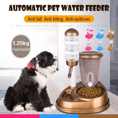 timed water dispenser for dogs