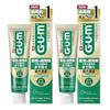 GUM Premium Dental Paste (Medical Herb Mint) 85g2 Pieces Quasi-drug
