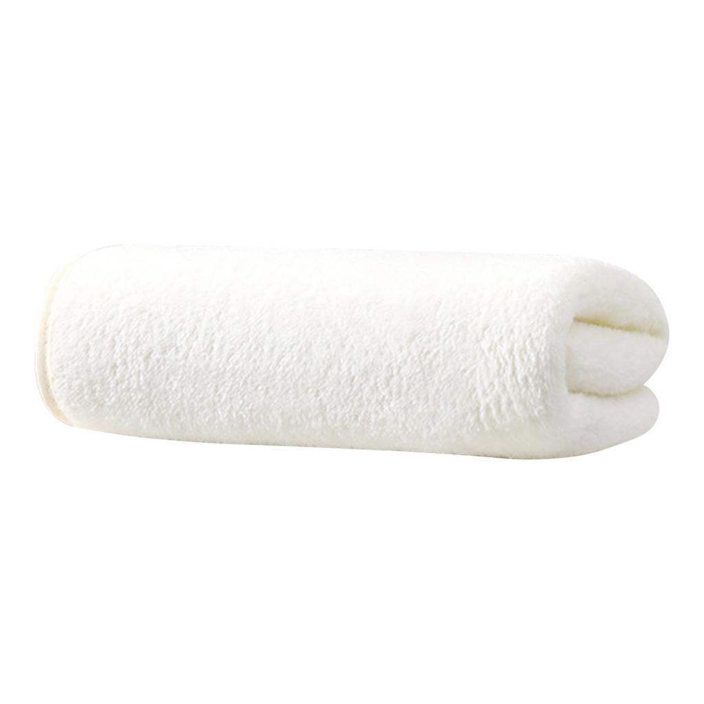 Absorbent And Quick-drying Plush Towel