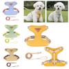 Hot Selling Dog Chest And Back Strap Wholesale Pet Leash For Small Dogs Prevents Escape Adjustable Size