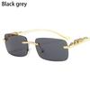 Rimless Square Sunglasses Women Men Luxury Brand Designer Popular Travel Driving Metal Leopard Head Sun Glasses Shade Eyewear