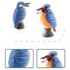 Feather Animal Model Simulated Magpie Pigeon Cuckoo Blue Wren Rusty-breasted Tit Solid Model Ornament PVC Bird Statue Figurine Desktop Decoration