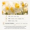 HETRAS Mango Seed Butter Perfume Moisturizing Hand Cream 50ml
