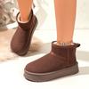Fashion Thick Plush Platform Snow Boots Women Winter Keep Warm Cotton Shoes Suede Cpomfortable  Ankle Botas Padded Shoes for Women