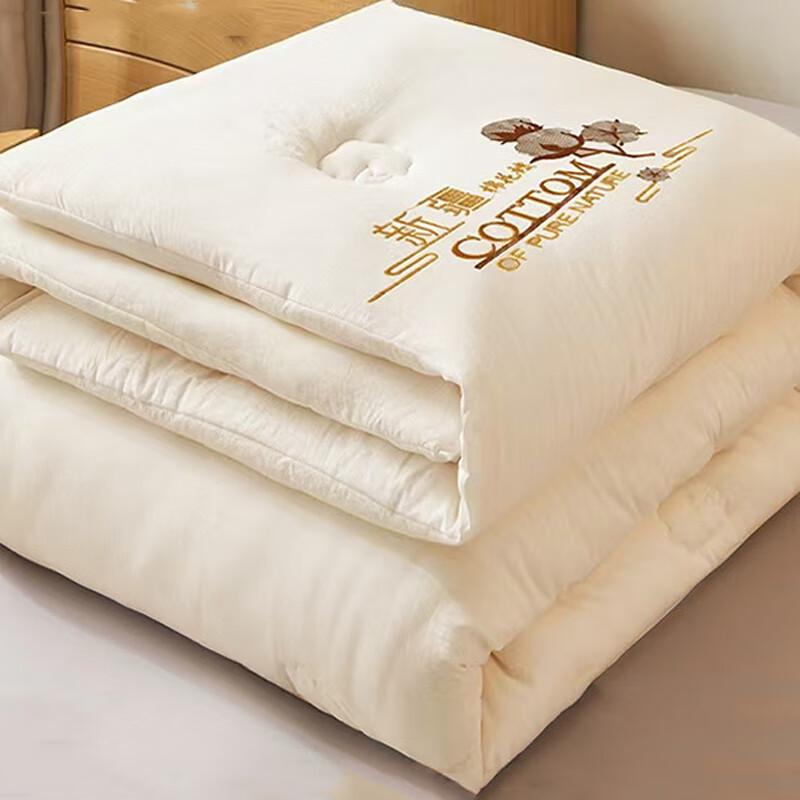 

Xinjiang Long-Staple Cotton Quilted Quilt