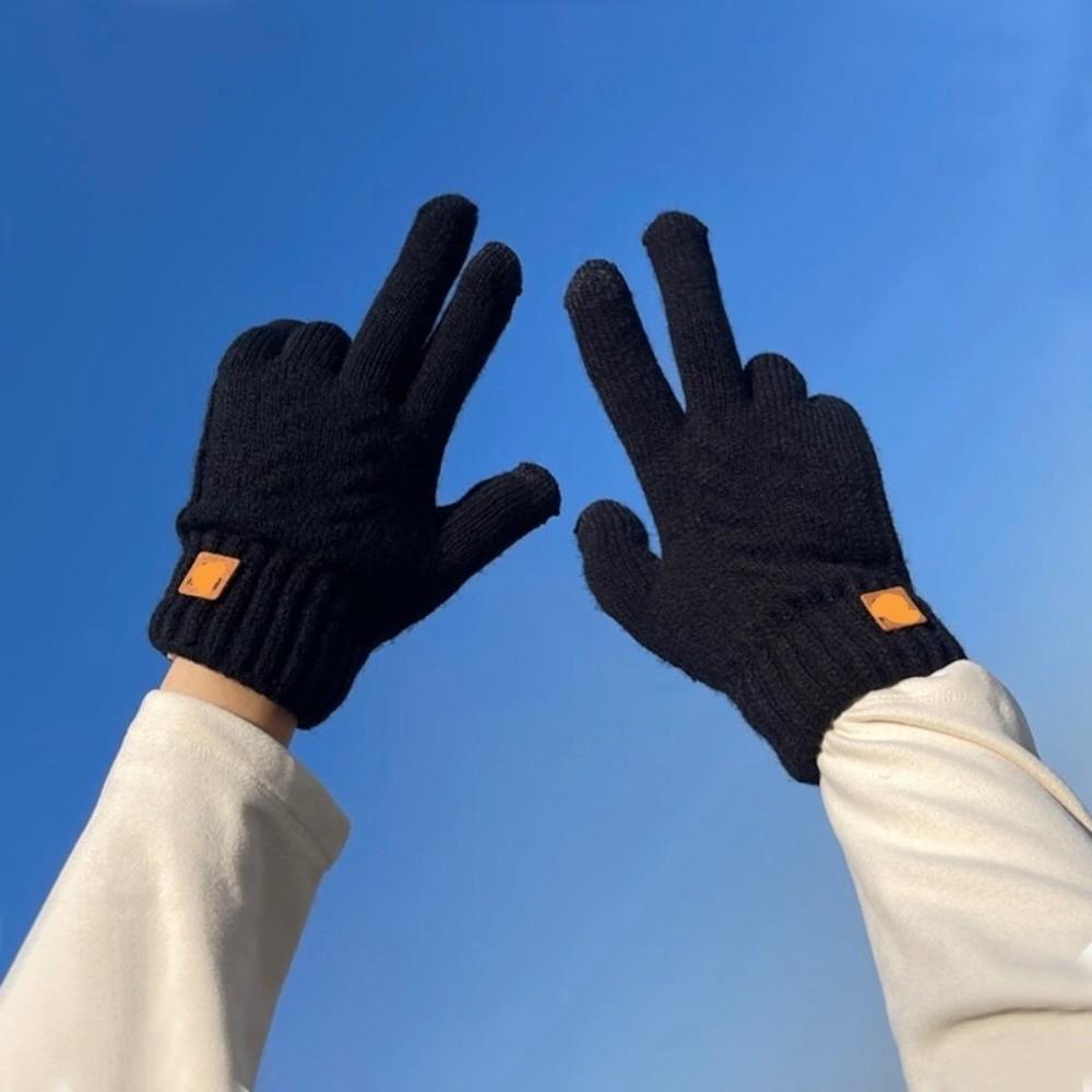 Cold Proof Touch Screen Gloves Thickened Plush Mittens Fashion Driving Gloves  Winter