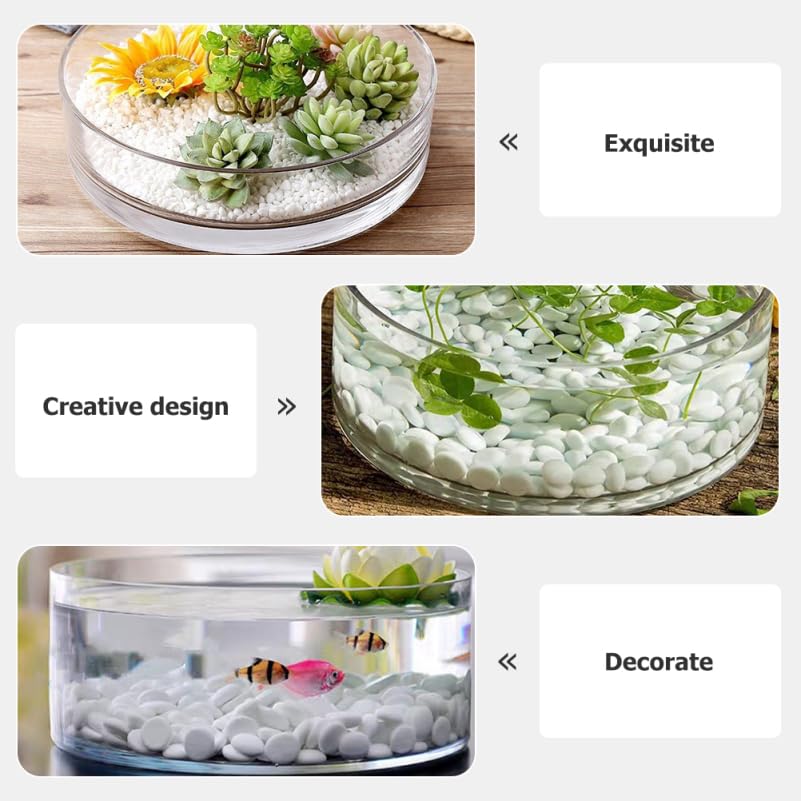 HANABASS Round Glass Terrarium Vase, Transparent Galantar for Hydroponic Cultivation, 3.15" Diameter, 5.91" Height, Interior Decor, for Succulents