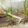 Stainless Steel Manual Weed Puller Garden Hand Weeder Rake Sharp Tines Grass Rooting Weeding Tool For Easily Removing Weeds